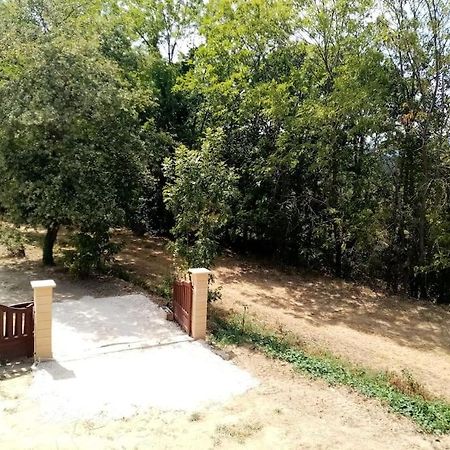 Chalet El Cant Dels Ocells Fillols المظهر الخارجي الصورة