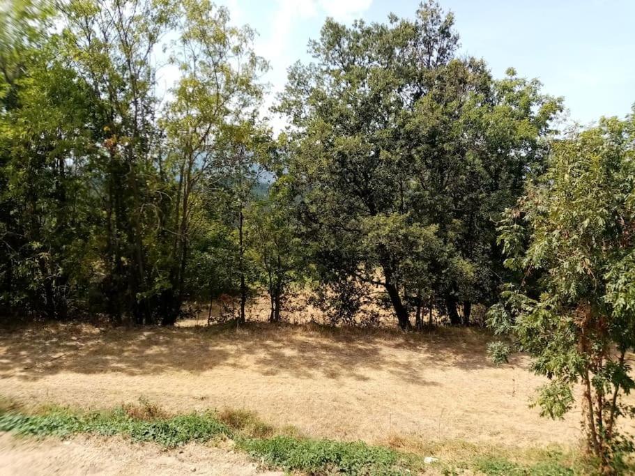 Chalet El Cant Dels Ocells Fillols المظهر الخارجي الصورة